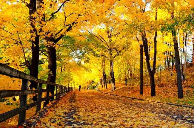 Photo representing Autumn